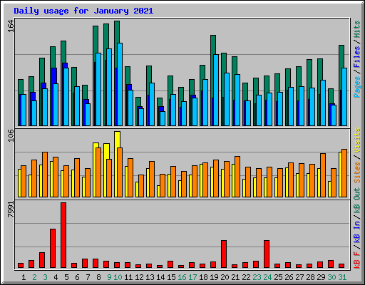 Daily usage for January 2021