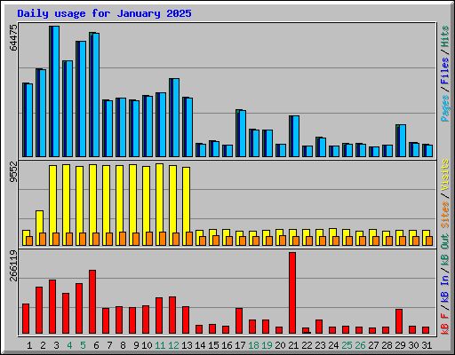 Daily usage for January 2025