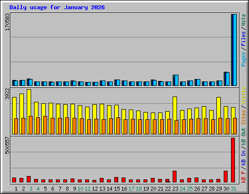 Daily usage for January 2026