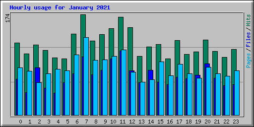 Hourly usage for January 2021