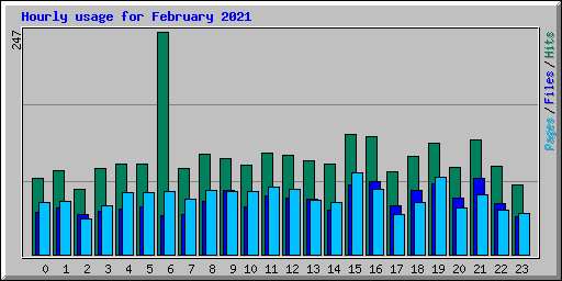 Hourly usage for February 2021