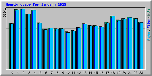 Hourly usage for January 2025