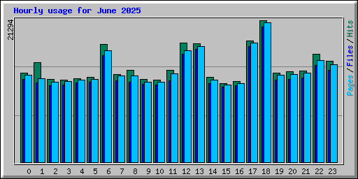 Hourly usage for June 2025