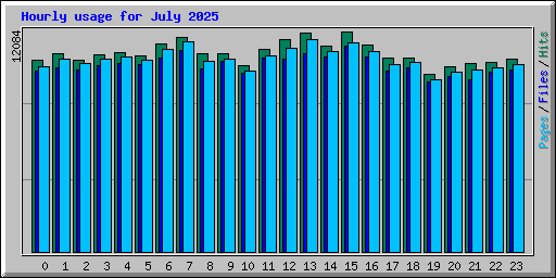 Hourly usage for July 2025