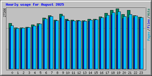 Hourly usage for August 2025