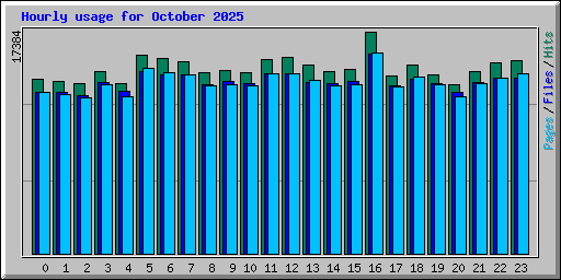 Hourly usage for October 2025