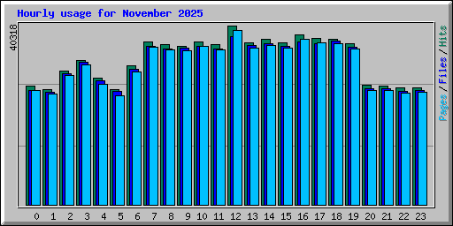 Hourly usage for November 2025