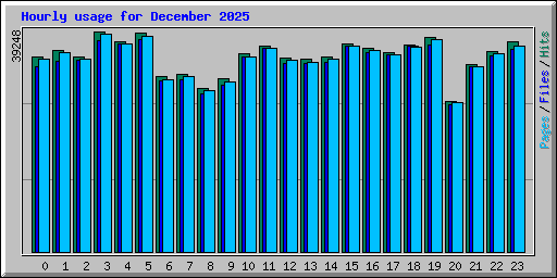 Hourly usage for December 2025