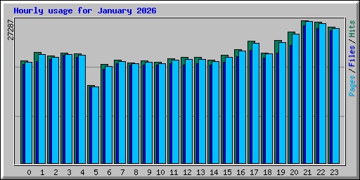 Hourly usage for January 2026