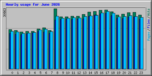Hourly usage for June 2026